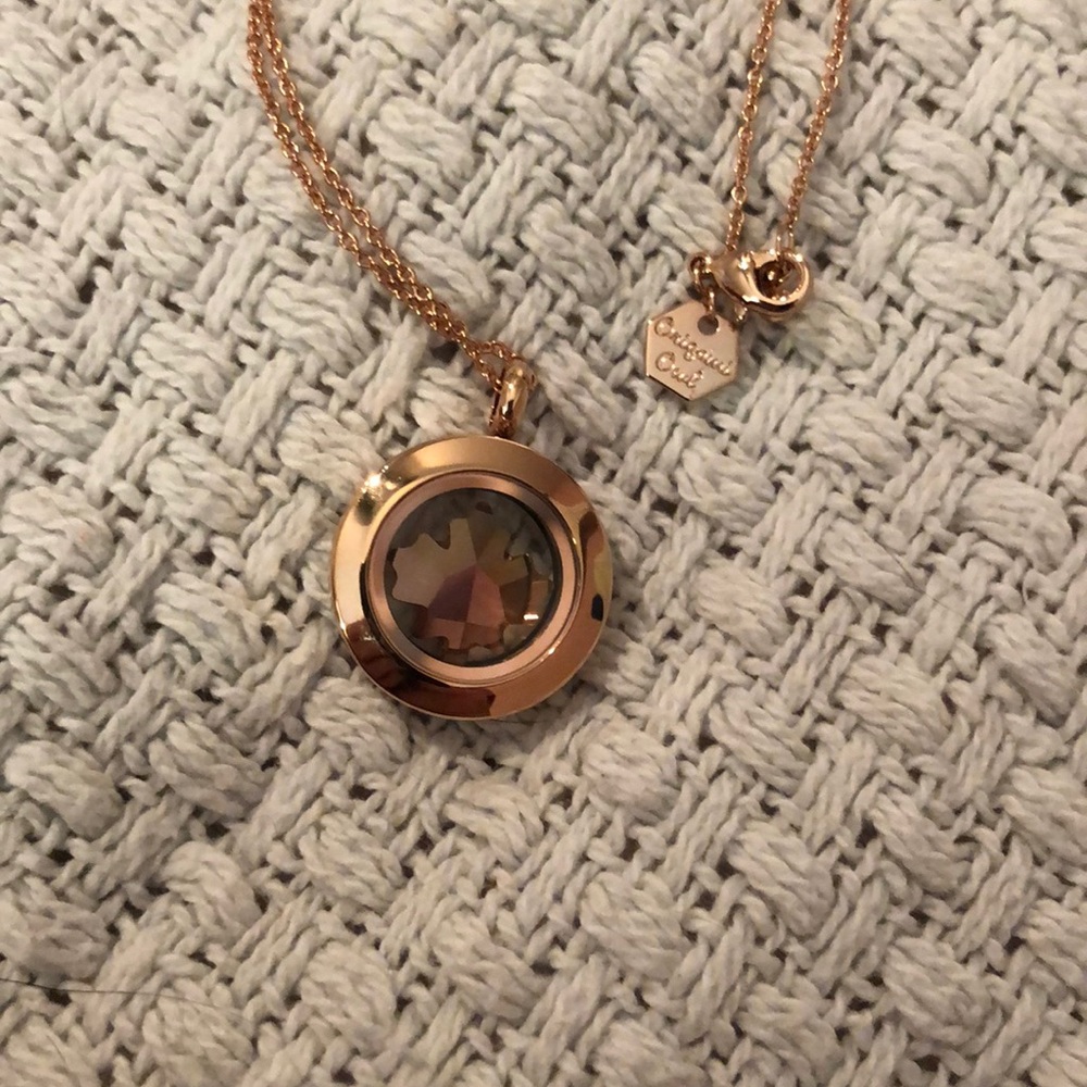 Origami owl necklace